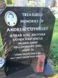 image of grave number 361847